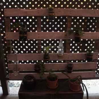 September Surf Café - Plants - Coffee & Tea Near Me - Montreal, Quebec September Surf Café - Plants - Coffee & Tea Near Me - Montreal, Quebec