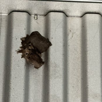 Public Storage - Bats sleeping at top of wall on ground floor unit. - Self Storage Near Me - Sarasota, Florida