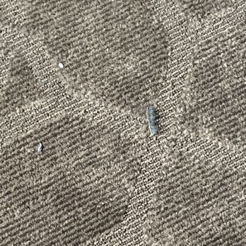 Edgewater - Eyelash (not mine) - Hotels Near Me - Laughlin, Nevada Edgewater - Eyelash (not mine) - Hotels Near Me - Laughlin, Nevada