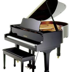 FortePiano Academy - FortePiano Academy features multiple high quality Yamaha mini-grand pianos.