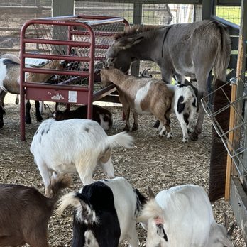 Alaska Farms - Yoga Near Me - Orlando, Florida Alaska Farms - Yoga Near Me - Orlando, Florida