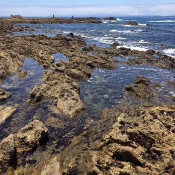 White Point Park - The tide pools are awesome! - Parks Near Me - San Pedro, California White Point Park - The tide pools are awesome! - Parks Near Me - San Pedro, California