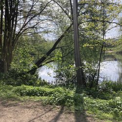 Bahrenfelder See - A place of my youth.