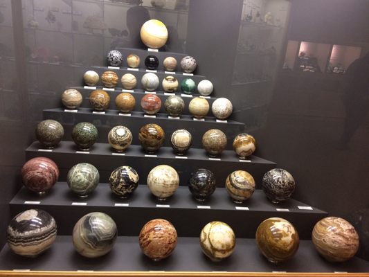 World Museum of Natural History by null