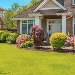Leal Lawn Care