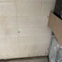 Photo of U-Haul Moving & Storage of Forestville Rd