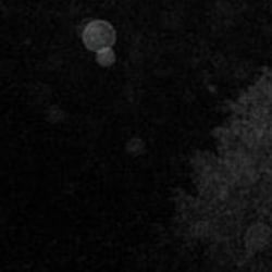Ghostwalk