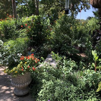 Krause Springs - Butterfly garden - Campgrounds Near Me - Spicewood, Texas