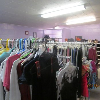 Humane Society of Lake County - Another angle on the purple room - Community Service/Non-Profit Near Me - Eustis, Florida Humane Society of Lake County - Another angle on the purple room - Community Service/Non-Profit Near Me - Eustis, Florida