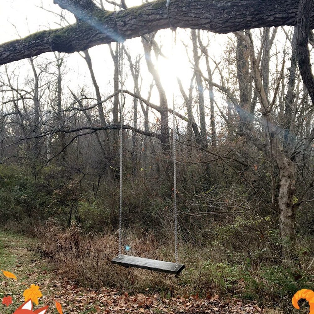 Anchorage Trail - Hiking Near Me - Anchorage, Kentucky