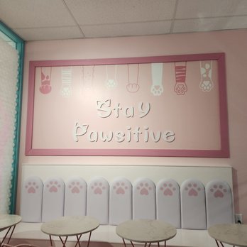Kitty Bubble Cafe & Bar - Inside - Cafes Near Me - Columbus, Ohio Kitty Bubble Cafe & Bar - Inside - Cafes Near Me - Columbus, Ohio