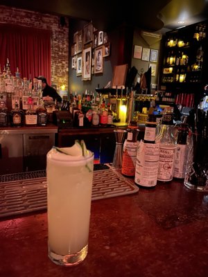 The Shady Lady Saloon by null