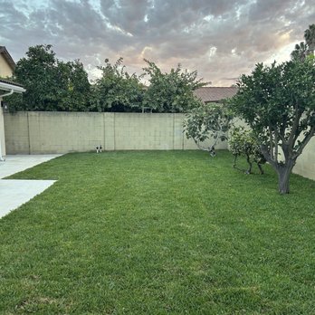 Castillo Landscaping - After - Landscaping Near Me