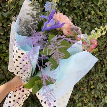 1. Little Darlin Flora