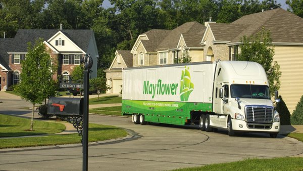 Mayflower by null