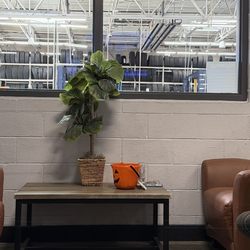 Walmart Auto Care Centers - Disorganization