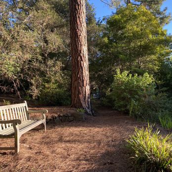Blake Garden - Parks Near Me - Kensington, California