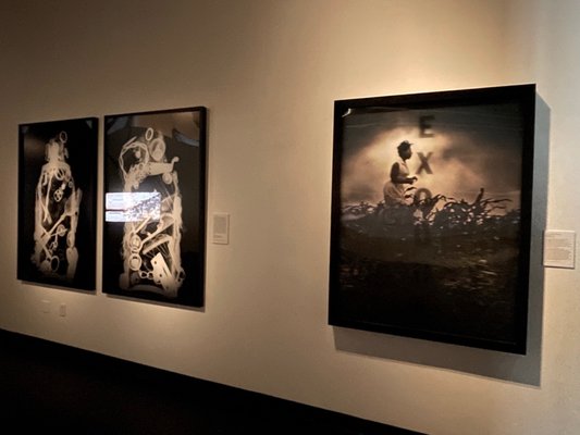 National Underground Railroad Freedom Center by null