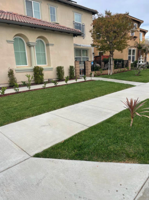 Masonry/Concrete/Pavers Projects - Our mission is to handle all your Lawn care needs no matter how big or small the job. We provide fast and exceptional service at an affordable price.
We are a locally owned company, so we are familiar with soil and weather conditions and the pests and diseases common to this area.