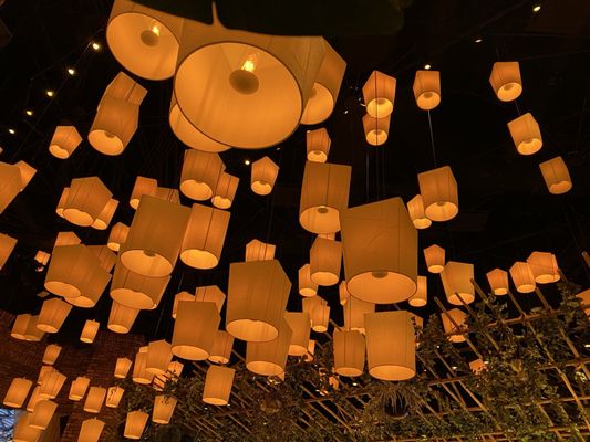 Lotus of Siam - Red Rock by null