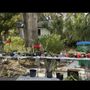 Dunedin Free Plant Exchange Group