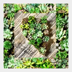 Second Street Seasonals - Plants