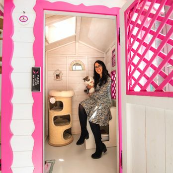 Cat Suite Hotel - Pet Boarding Near Me - Milan, Michigan Cat Suite Hotel - Pet Boarding Near Me - Milan, Michigan
