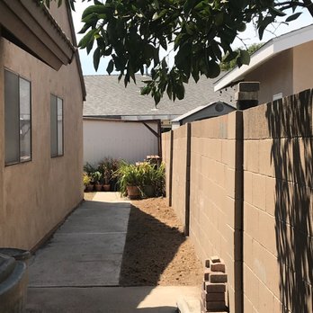My Tree Experts - After - Tree Services Near Me My Tree Experts - After - Tree Services Near Me