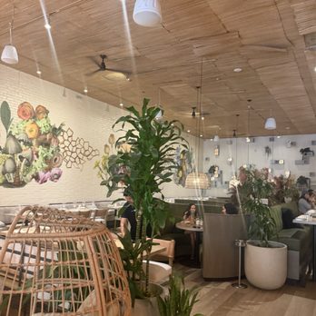 The Well - Gluten-Free Near Me - Austin, Texas The Well - Gluten-Free Near Me - Austin, Texas