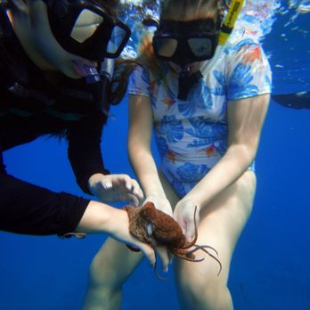 Maui Undersea Adventures - Holding Live Octopus! - Scuba Diving Near Me - Kihei, Hawaii