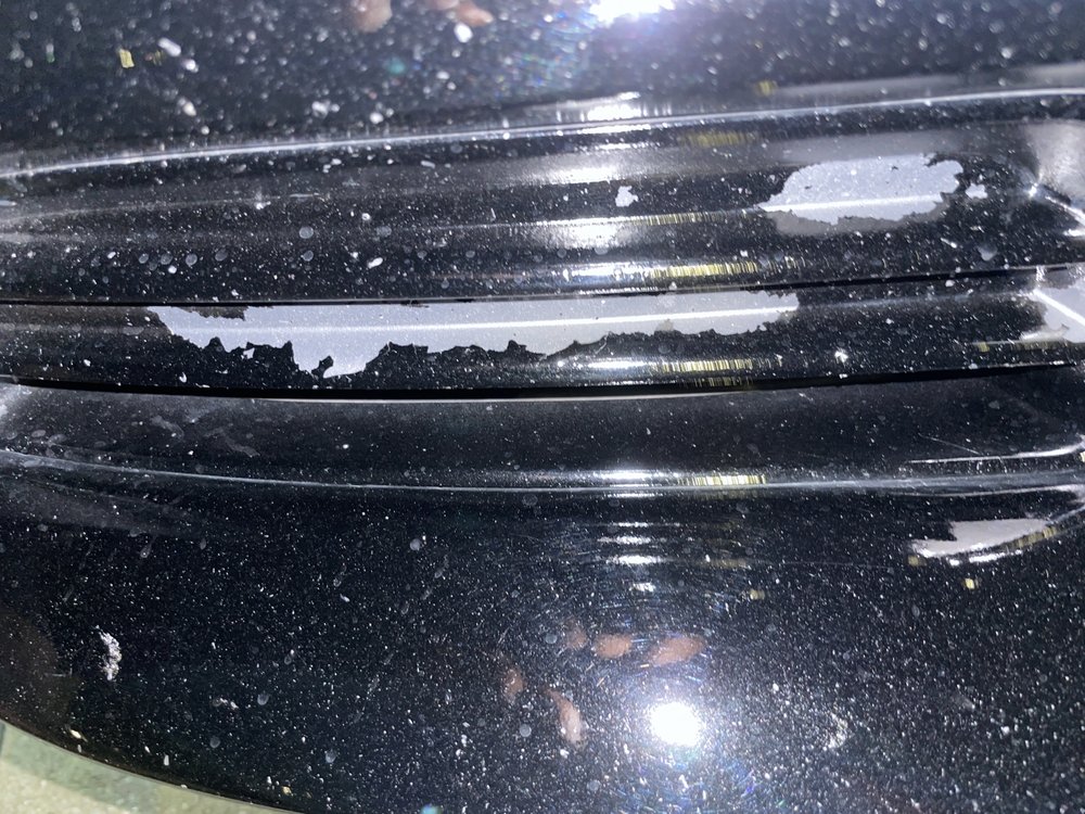 MAACO AUTO BODY SHOP & PAINTING Updated October 2024 12 Reviews