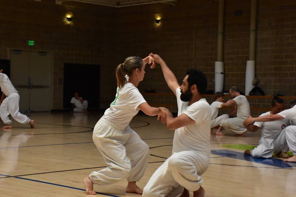 PGB White Crane Kung Fu Logo