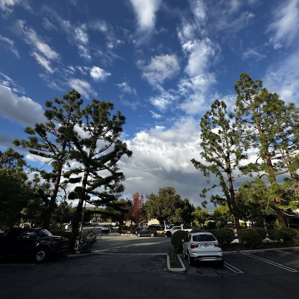 Curtis Couch - Lovely view looking out - General Dentistry Near Me - Thousand Oaks, California
