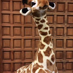 Meet Ohana our Office Mascot!