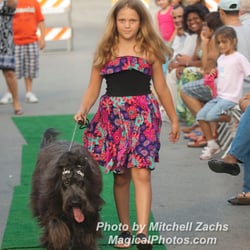 Jolly Mutt Dog Grooming Salon & Boutique - Jolly Mutt Pet Fashion Show