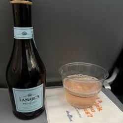 Allegiant Air - Complimentary beverage with allegiant credit card (cran mimosa)!