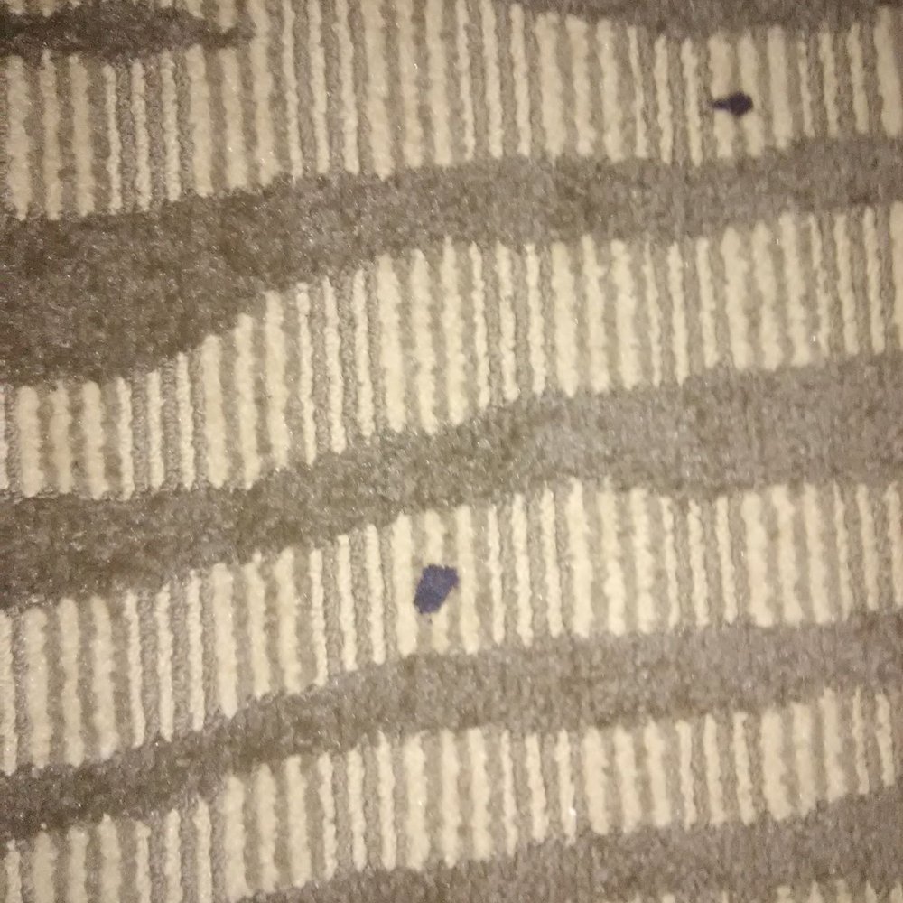 Hilton Garden Inn Kankakee - More cigarette Burns on the floor of the non-smoking room a 2 room suite - Hotels Near Me - Kankakee, Illinois Hilton Garden Inn Kankakee - More cigarette Burns on the floor of the non-smoking room a 2 room suite - Hotels Near Me - Kankakee, Illinois
