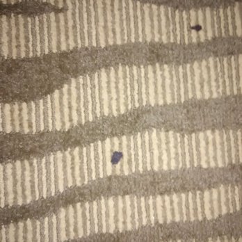 Hilton Garden Inn Kankakee - More cigarette Burns on the floor of the non-smoking room a 2 room suite - Hotels Near Me - Kankakee, Illinois Hilton Garden Inn Kankakee - More cigarette Burns on the floor of the non-smoking room a 2 room suite - Hotels Near Me - Kankakee, Illinois