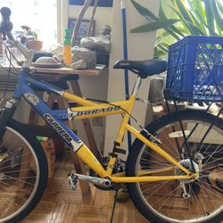 Spokesman Cycles - My bike. It is yellow and blue and has two tires. Have had it for 10 +years. Thanks for the fix.