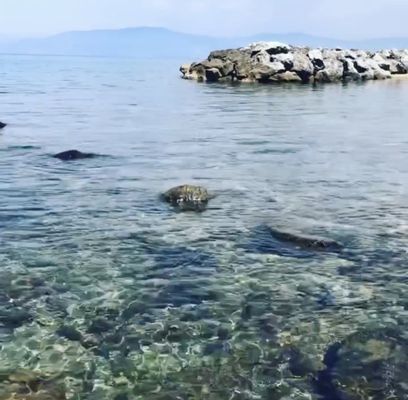 Church Piedigrotta by null