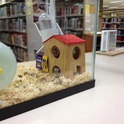 Dayton Metro Library - Huber Heights - Pipi & Lily (Dwarf Striped Chinese Hamster) are big library supporters!