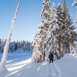 Snowshoeing