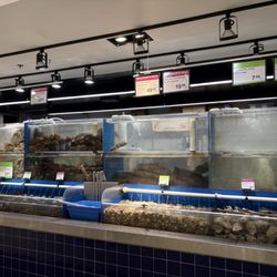 T&T Supermarket - Live sea food tanks