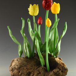 Expressive Glass - Life-size glass tulips, sold at the Corning Museum of Glass