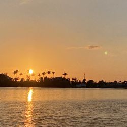 Lemon Bay Tours