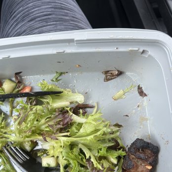 Luna Grill Richardson - Chicken Kabob & Koobideh Kabob Plate ,  I was almost done with my food and came across this bug. I feel horrible, what is this ? - Mediterranean Near Me - Richardson, Texas