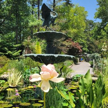 Sarah P Duke Gardens - Botanical Gardens Near Me - Durham, North Carolina Sarah P Duke Gardens - Botanical Gardens Near Me - Durham, North Carolina