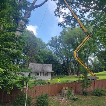 Cleartree - Tree Services Near Me - Joppa, Maryland Cleartree - Tree Services Near Me - Joppa, Maryland