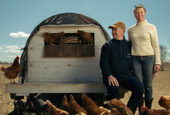 Browder’s Birds by null