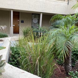 The Perio Pocket SD Implants & Aesthetics - Located in the heart of San Diego conveniently off the 5 highway between Pacific Beach, Mission Bay and La Jolla Neighborhoods